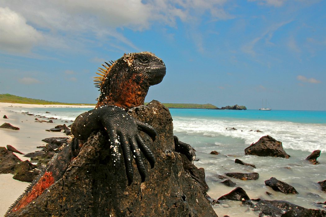 Places: Galapagos